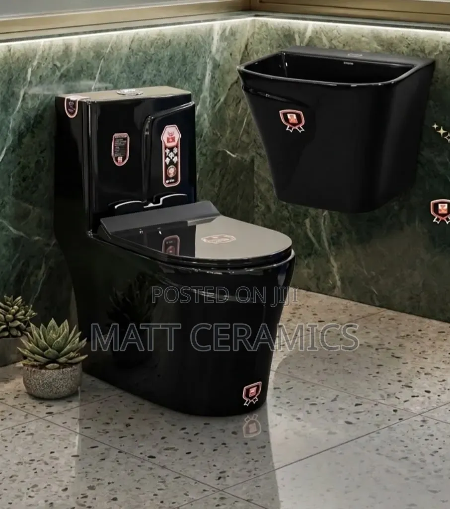 Classy Black Toilet Set