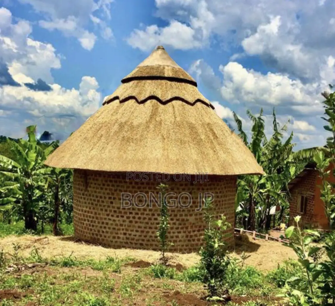 Grass Roof Cottage