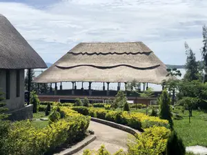Steroid Flat Grass Roof