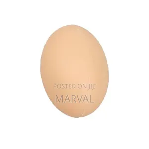 50pcs Plastic Eggs Toys