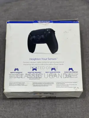 PS5 Controller