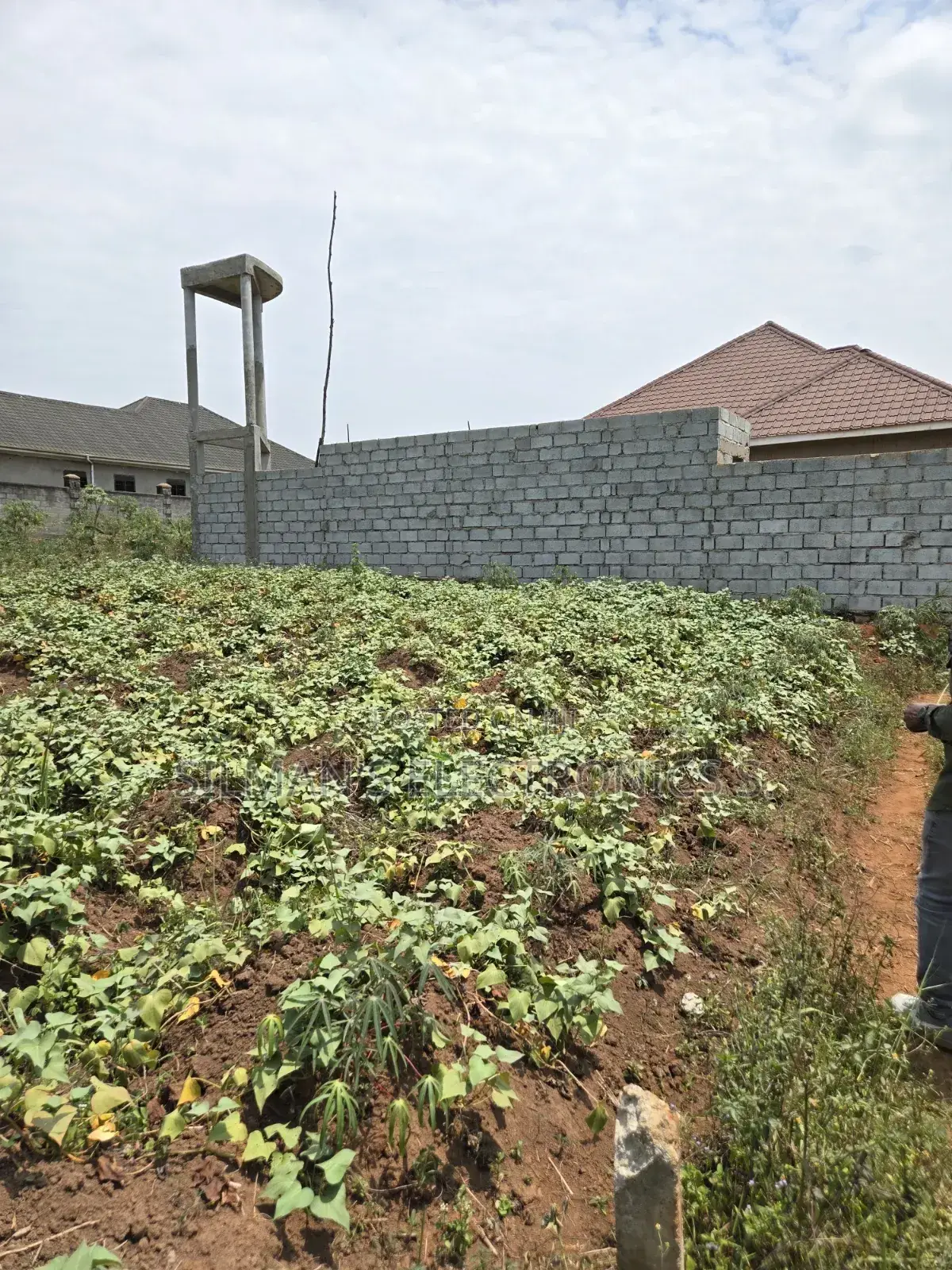 Plot for Sale Titled 100 by 50ft Matugga Ssanga