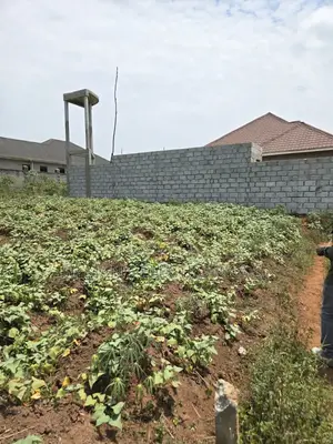 Plot for Sale Titled 100 by 50ft Matugga Ssanga