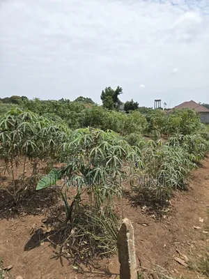 Matugga Ssanga Plot 100 by 50ft With Title