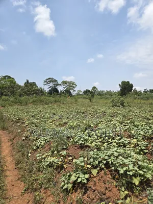 Matugga Ssanga Plot 100 by 50ft With Title
