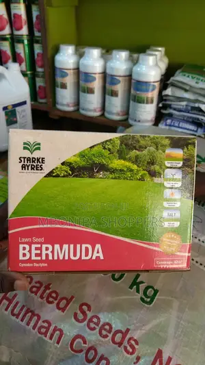 Starke Ayres Bermuda Mixture Seeds 500 G
