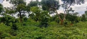 4 Acres of Land_Balawoli Kamuli District, Eastern Uganda at 5m an Acre