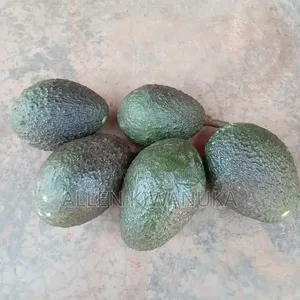Hass Avocados