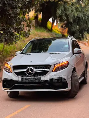 Mercedes-Benz M Class 2013 Gray