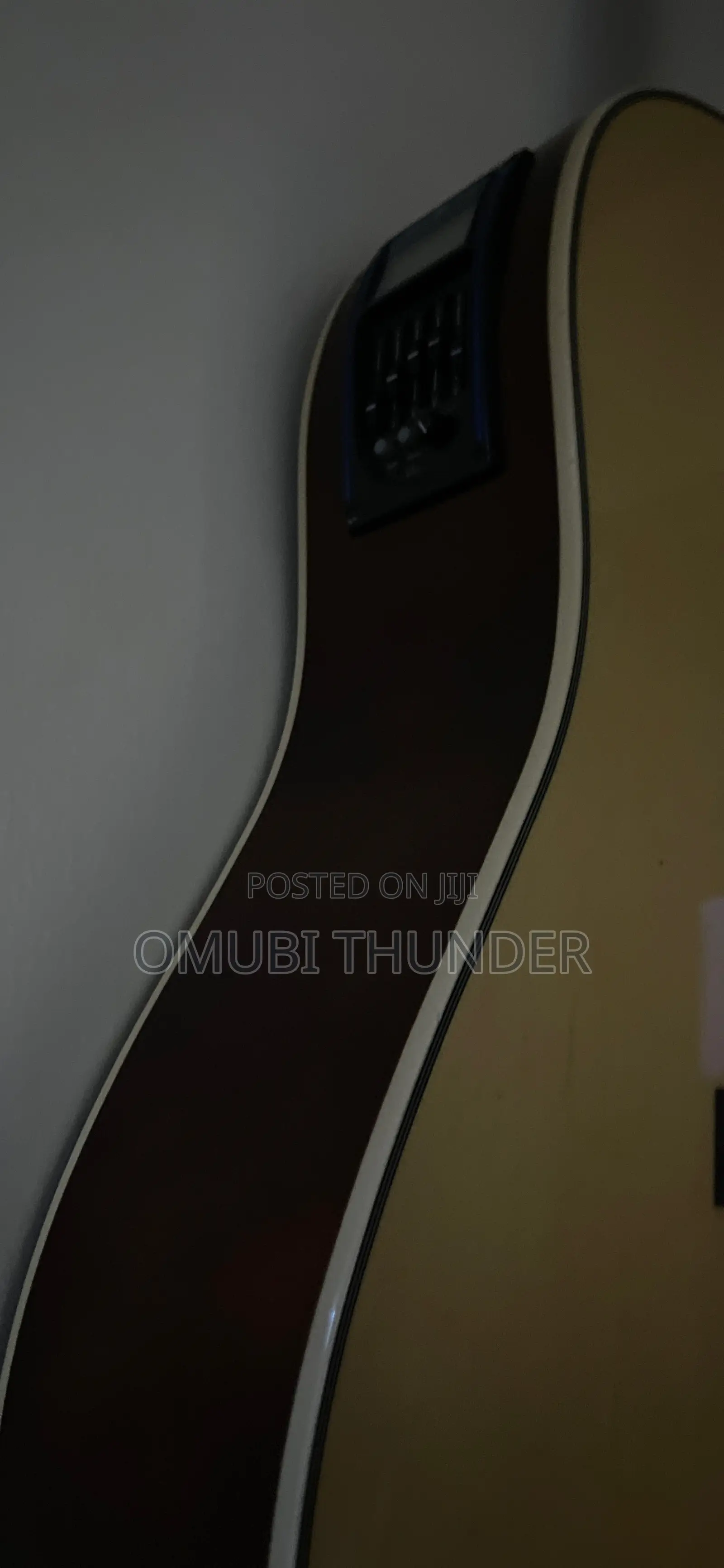Acoustic Guitar