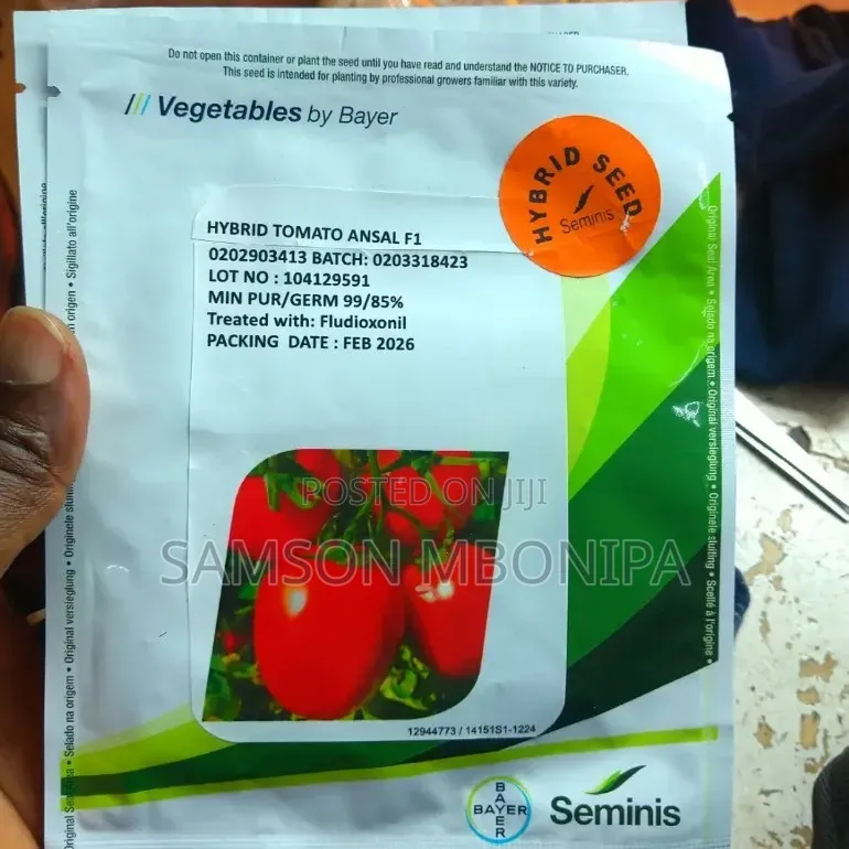 Ansal F1 Tomato -2500 Seeds
