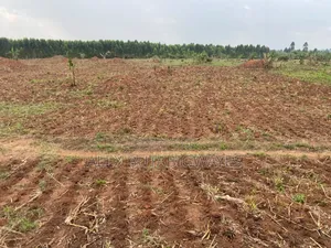 Land for Sale in Kakoge