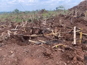 Land for Sale in Kakoge