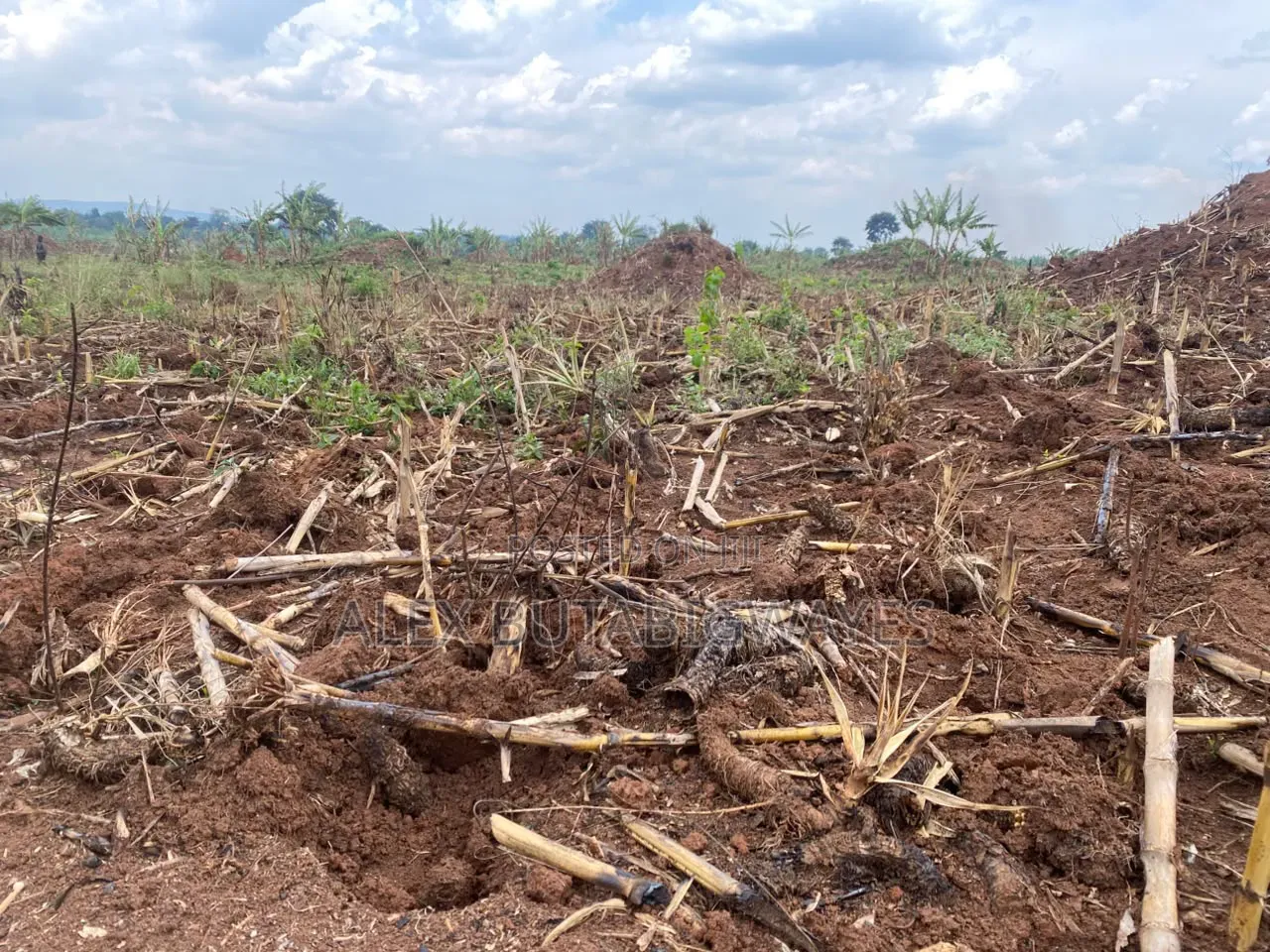 Land for Sale in Kakoge