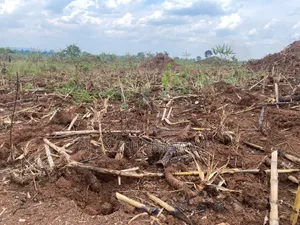 Land for Sale in Kakoge