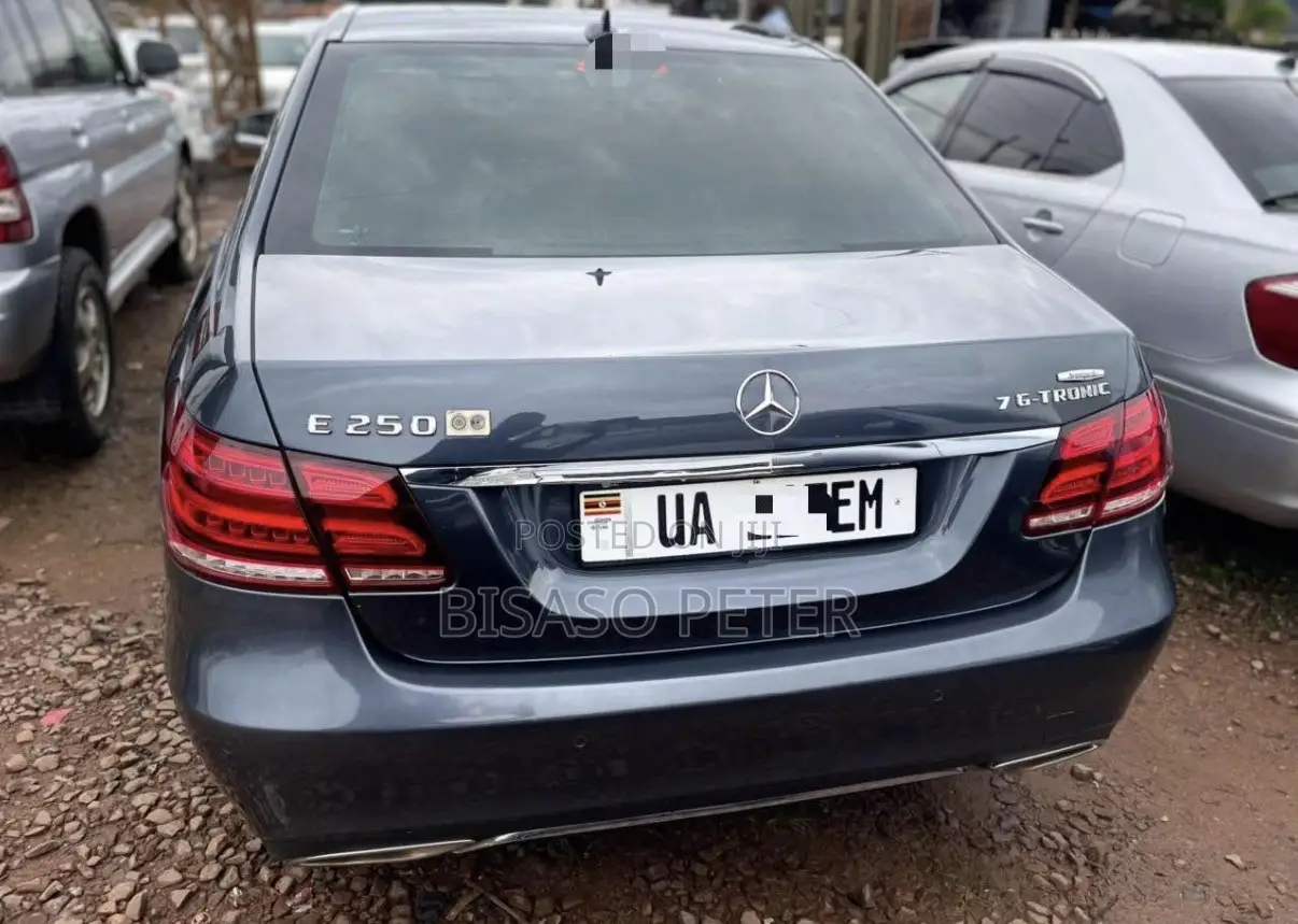 Mercedes-Benz E250 SV Premium 2014 Gray