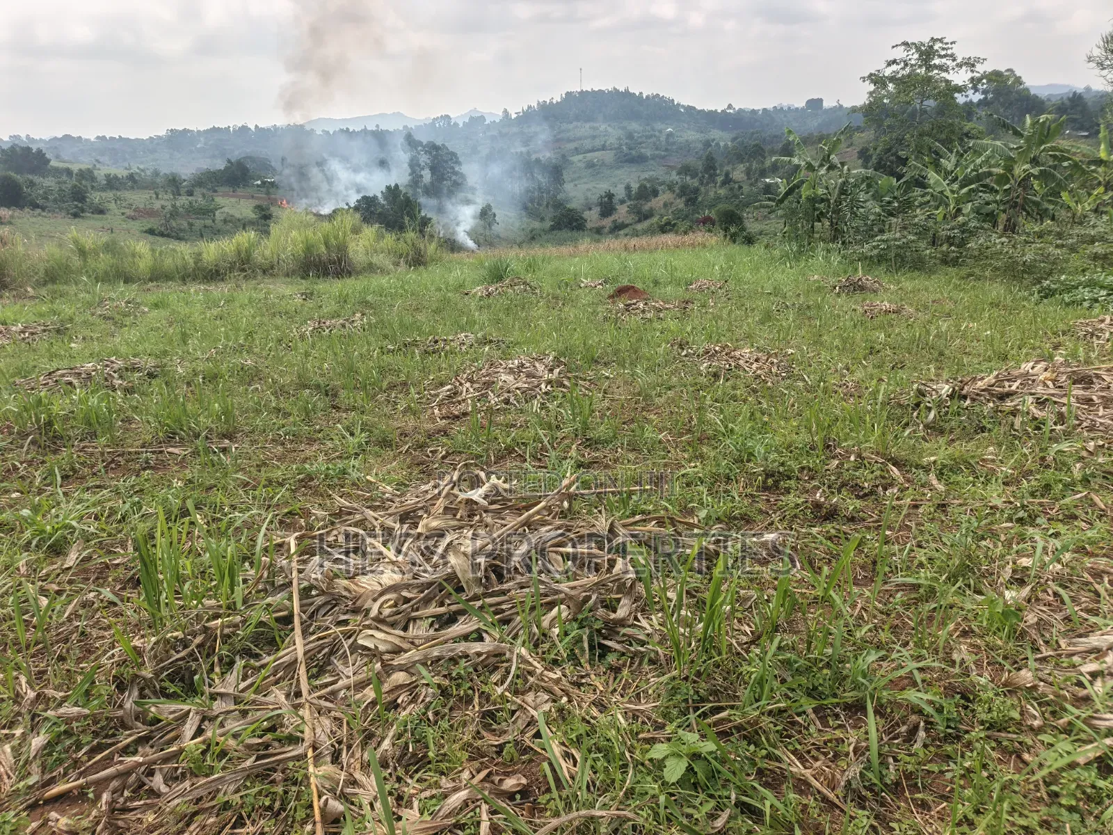 6acres of Land on Sale Located in Kyenjojo-Katooke