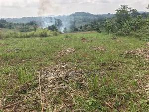 6acres of Land on Sale Located in Kyenjojo-Katooke