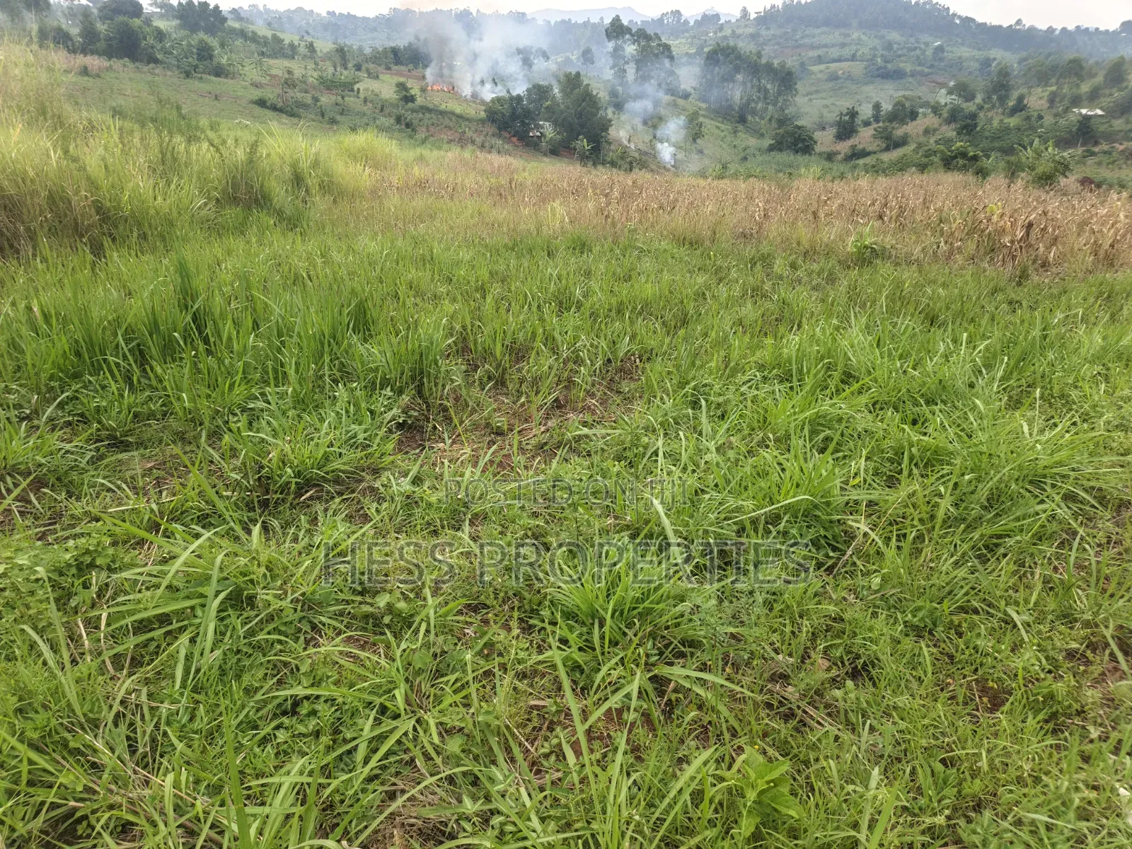6acres of Land on Sale Located in Kyenjojo-Katooke