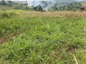 6acres of Land on Sale Located in Kyenjojo-Katooke