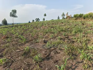 23acres of Agriculture Land on Sale Located in Bufunjo-Kyenjojo