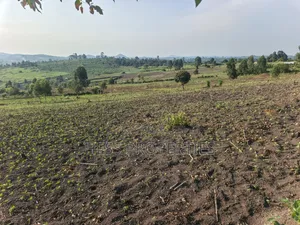 23acres of Agriculture Land on Sale Located in Bufunjo-Kyenjojo