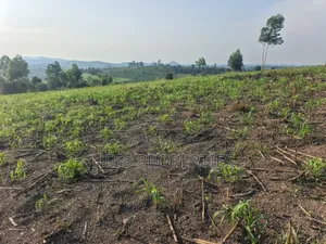 23acres of Agriculture Land on Sale Located in Bufunjo-Kyenjojo