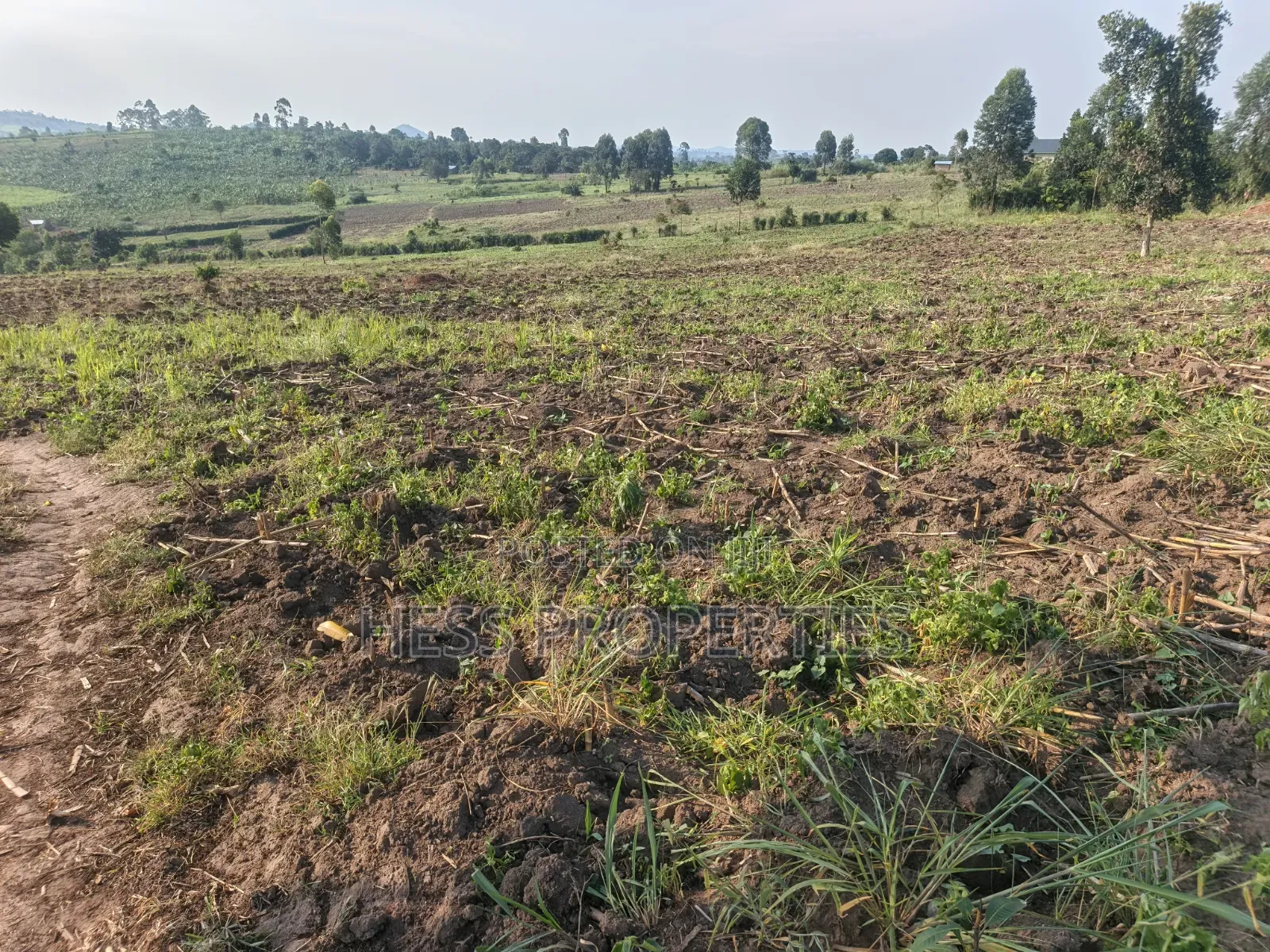 23acres of Agriculture Land on Sale Located in Bufunjo-Kyenjojo