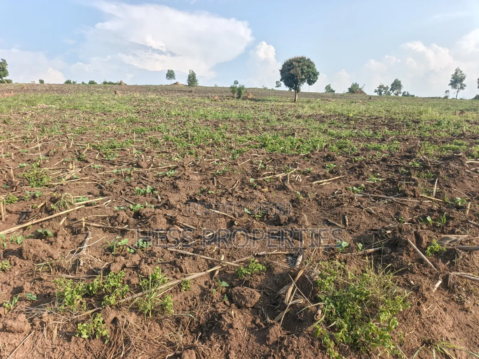 23acres of Agriculture Land on Sale Located in Bufunjo-Kyenjojo
