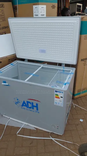 Big Freezer Gray Colour