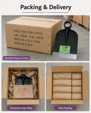B Cock Hoes (Box)