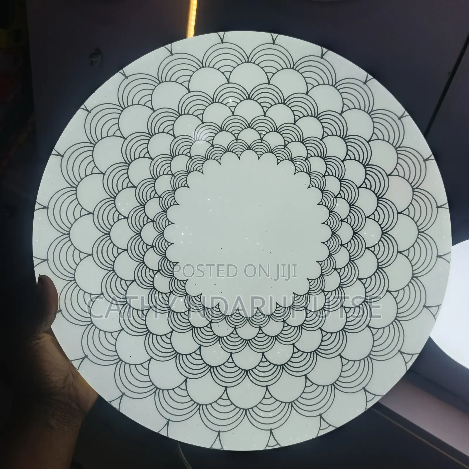 Ceiling Light