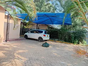 Blue Waterproof Carport