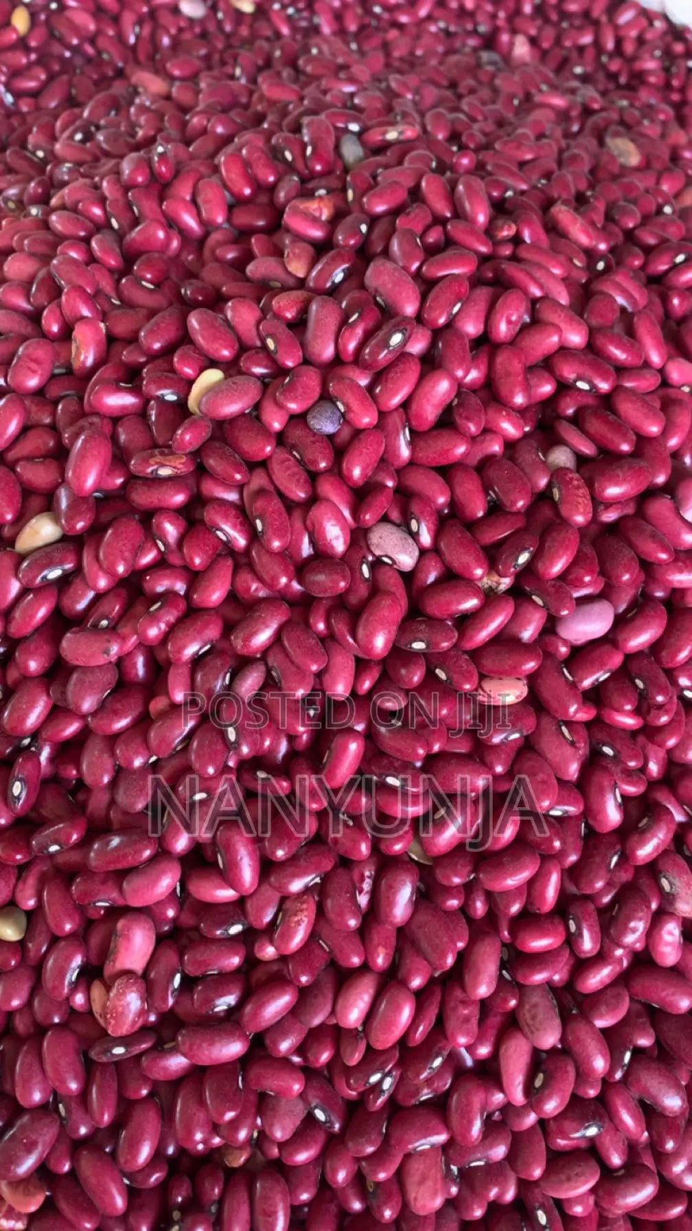 Red Beans / (Wayilimu)