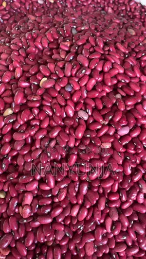 Red Beans / (Wayilimu)