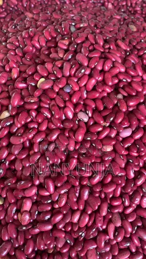 Red Beans / (Wayilimu)