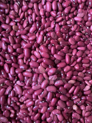 Red Beans / (Wayilimu)