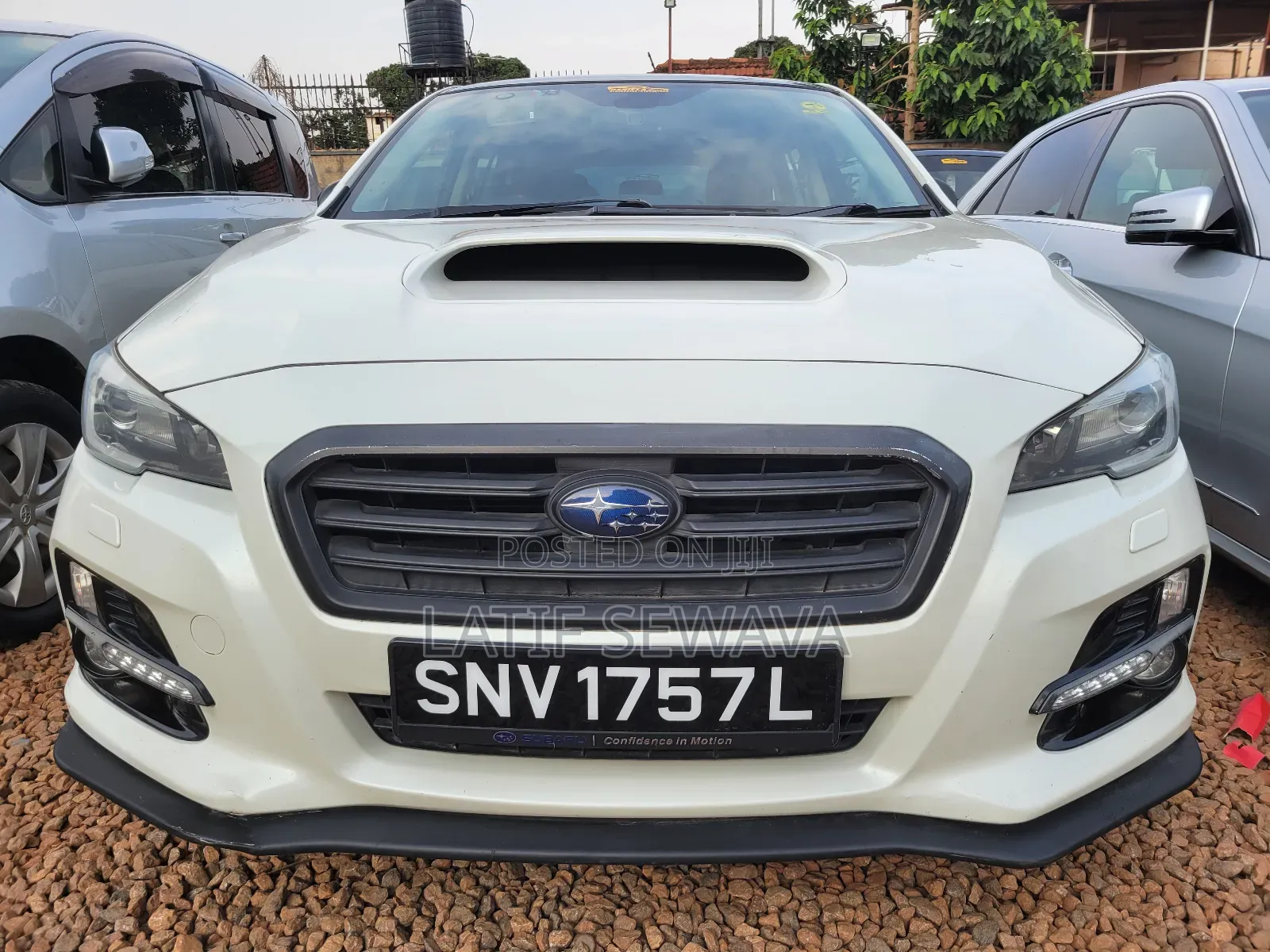 New Subaru WRX STI 2020 White