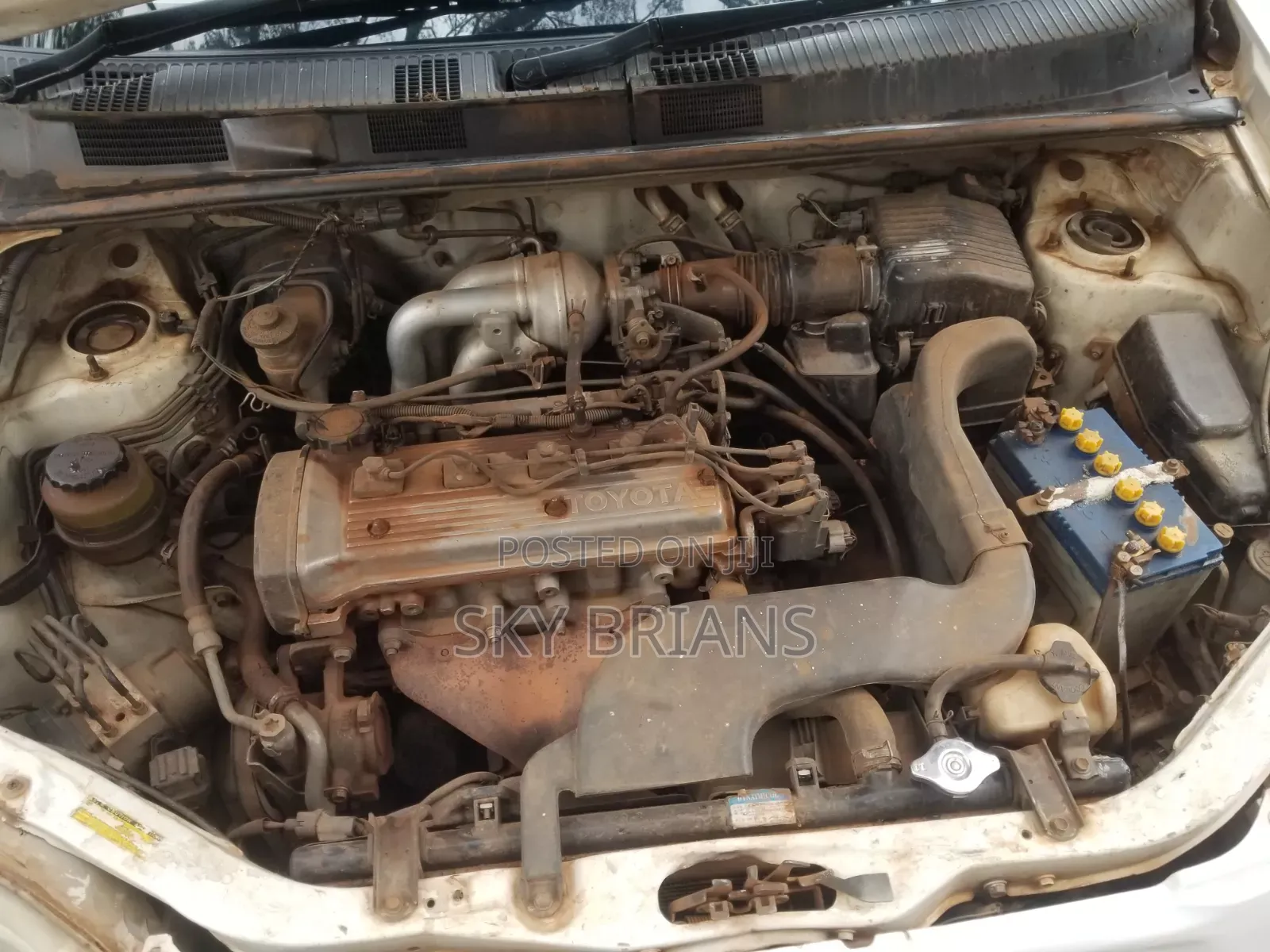 Toyota Raum 2000 White