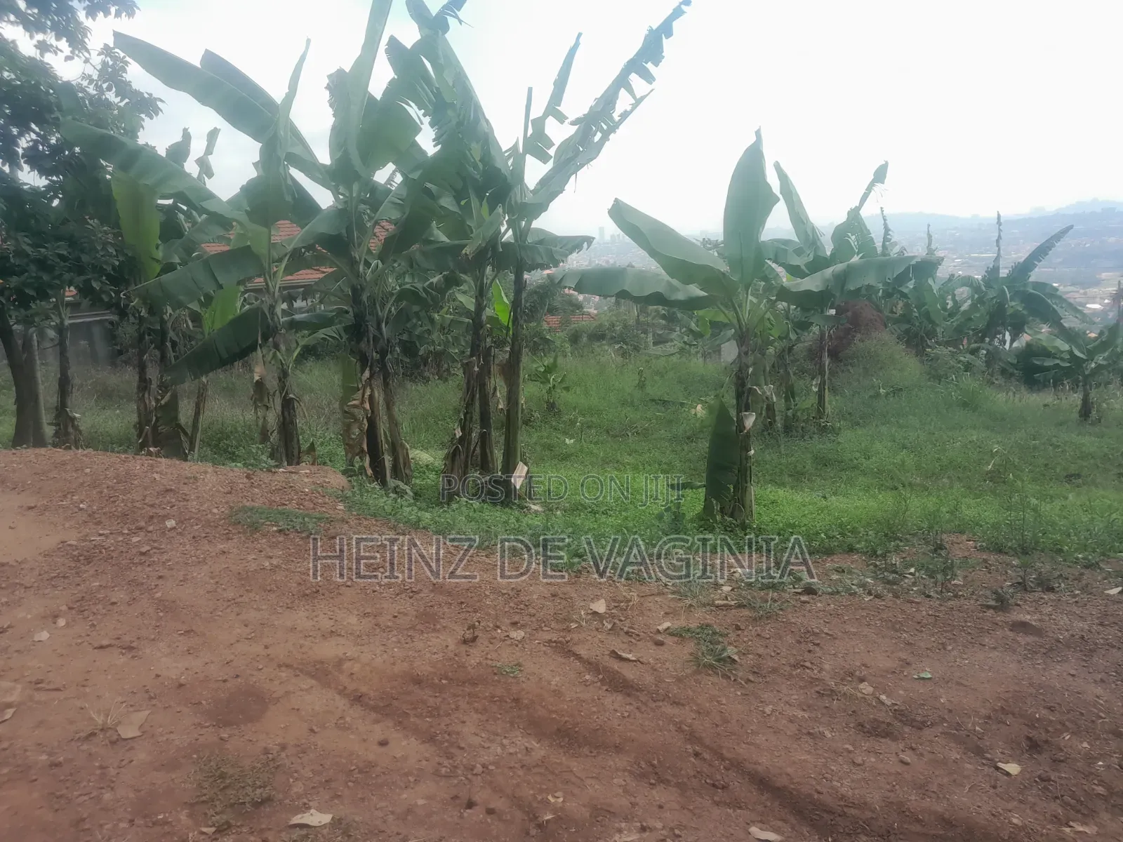 Prime 2 Acres 45 Decimals Land for Sale in Konge, Makindye – Hilltop