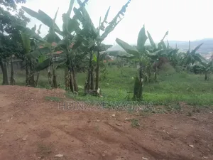 Prime 2 Acres 45 Decimals Land for Sale in Konge, Makindye – Hilltop