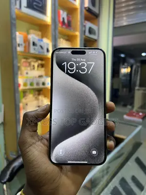 Apple iPhone 15 Pro Max 256 GB Gray