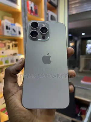 Apple iPhone 15 Pro Max 256 GB Gray