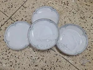 Elegant 24pcs Ceramic Plates Ceramic Dinner Plates