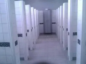 Toilet Cleaning