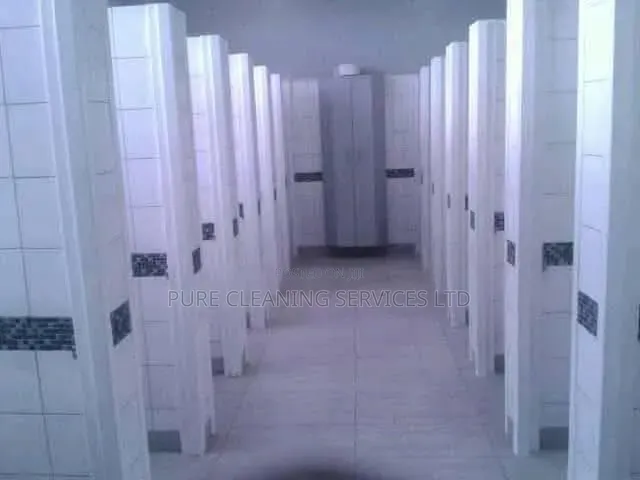 Toilet Cleaning