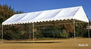 Large Event Canopy