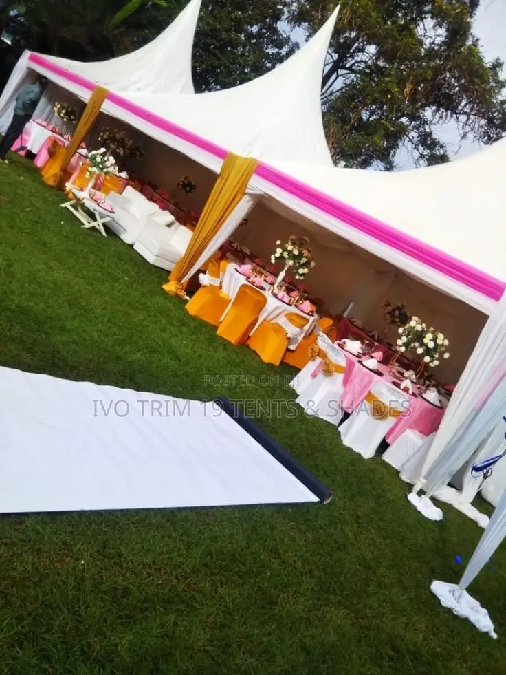 100 Seater Tent With Vibrant Color Palette