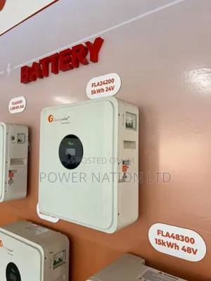5kwh 24v Nampower Felicity Lithium Battery