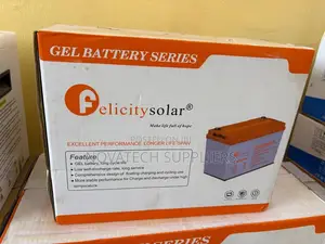 Felicity 12V 100Ah Gel Battery for Solar Inverter Systems